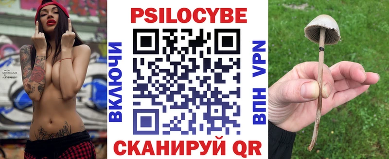 Галлюциногенные грибы Psilocybe  Купить  Афипский 